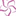 catalinacruz.com favicon