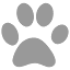 cougarlife.com favicon