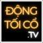 dongtoico.us favicon