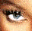 petardas.com favicon
