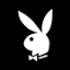 playboytv.com favicon