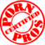 pornpros.com favicon