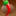 spicybigbutt.com favicon
