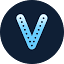 viewgals.com favicon