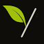 youngleafs.com favicon